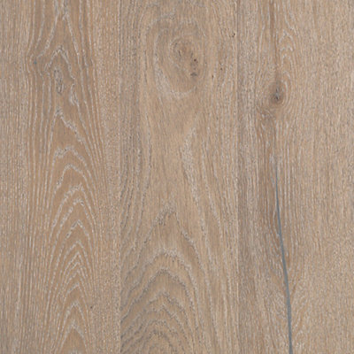 Coastal Oak - 79