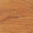 Red Maple - WPO-004